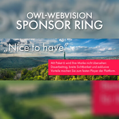 Sponsor Ring Paket 6: „Nice to have“